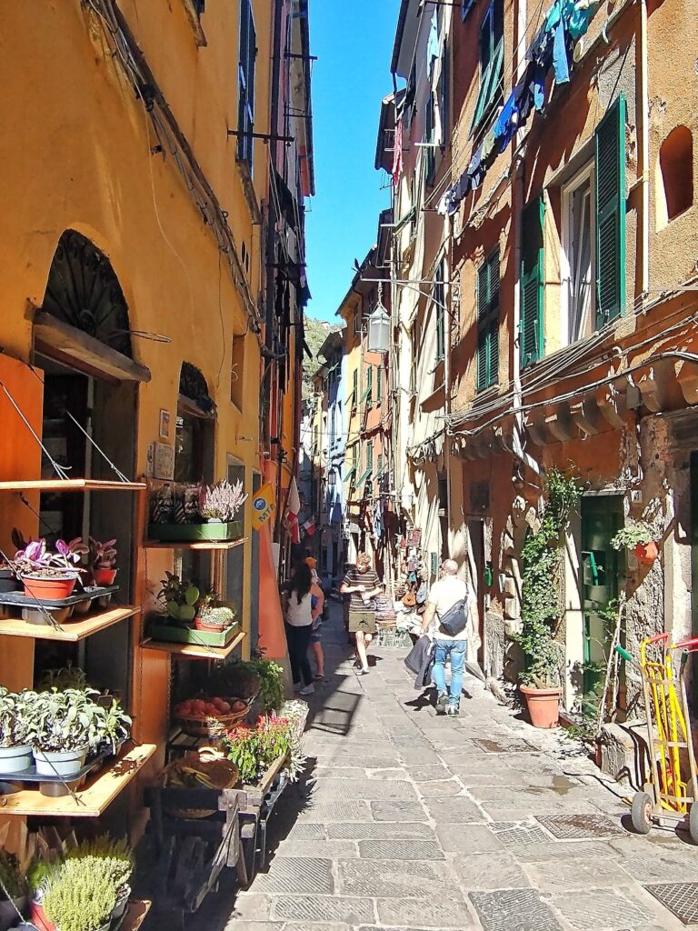 a narrow street with colourful buildings selling goods