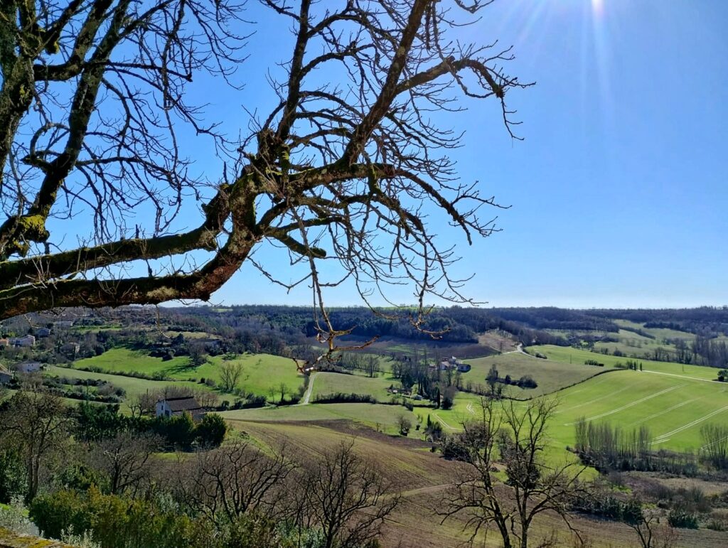 Grab Your Pillow, the view from Castelnau-de-Montmiral