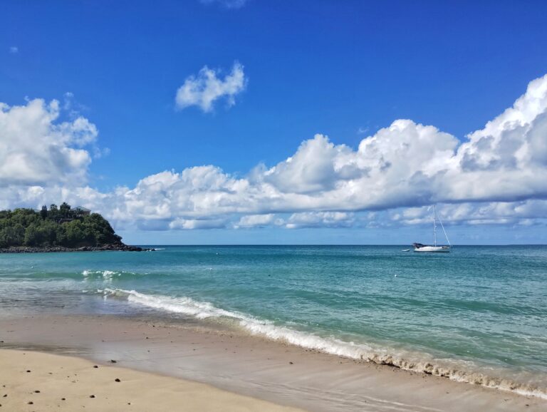 IMG_20241120_121028688_MP